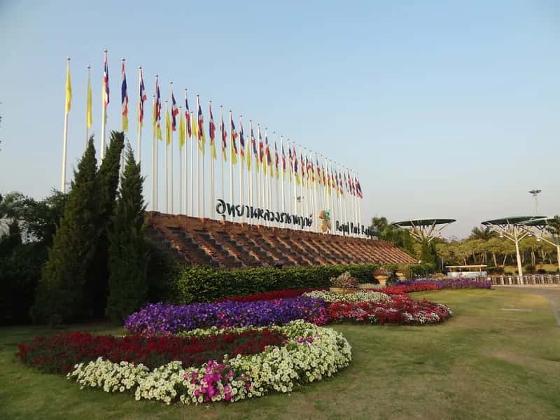 Motorcykeluthyrning i Hang Dong, Chiang Mai
