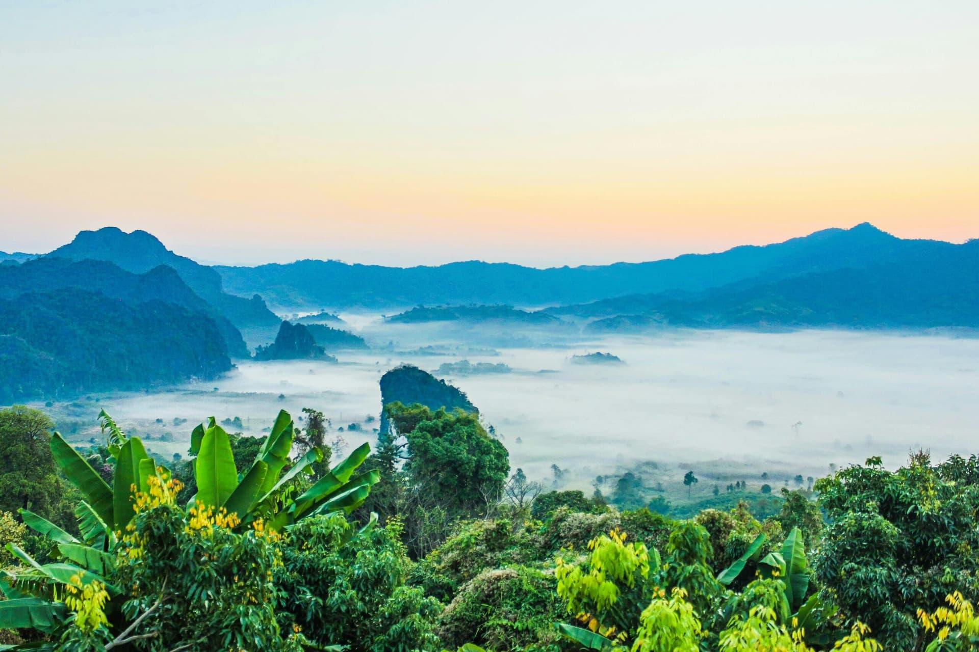 Scenic view of misty valleys surrounded by green hills and banana trees under a pastel sunrise sky