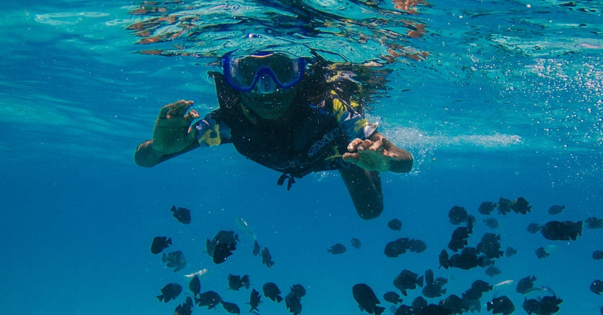Scuba diver exploring vibrant underwater marine life filled with fish.