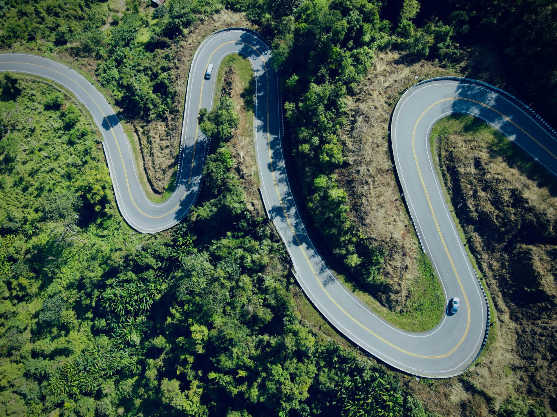 Drone Shot of a Winding Road between Green Trees