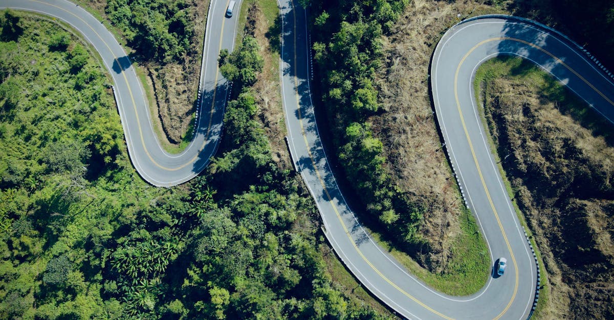 Drone Shot of a Winding Road between Green Trees