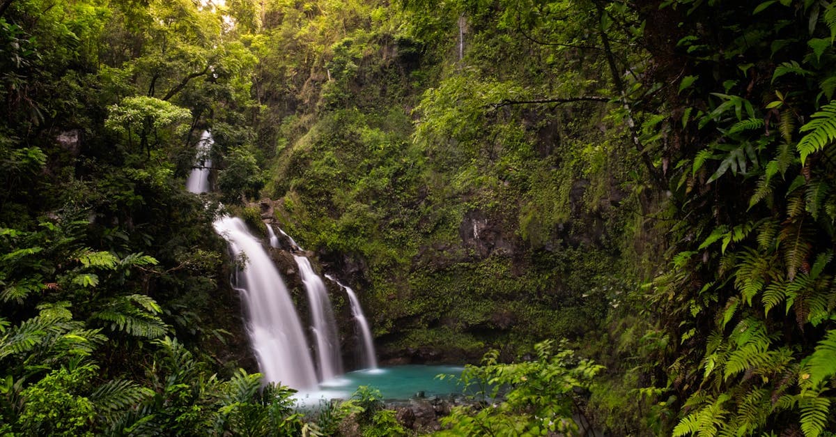 A tranquil waterfall in a dense, green Hawaiian forest during daylight.