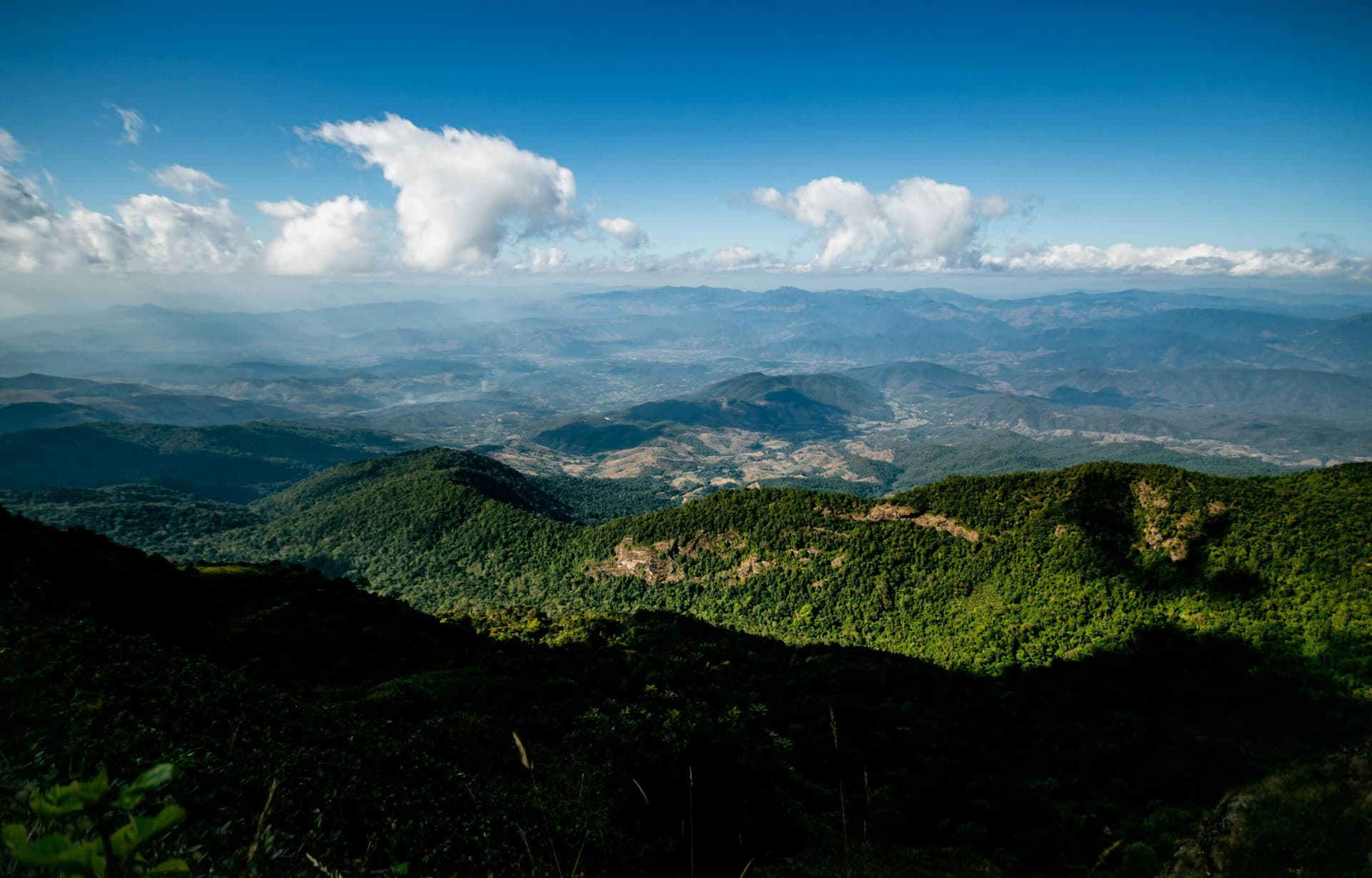 pexels-zaonar-nyaninda-547935324-18121536