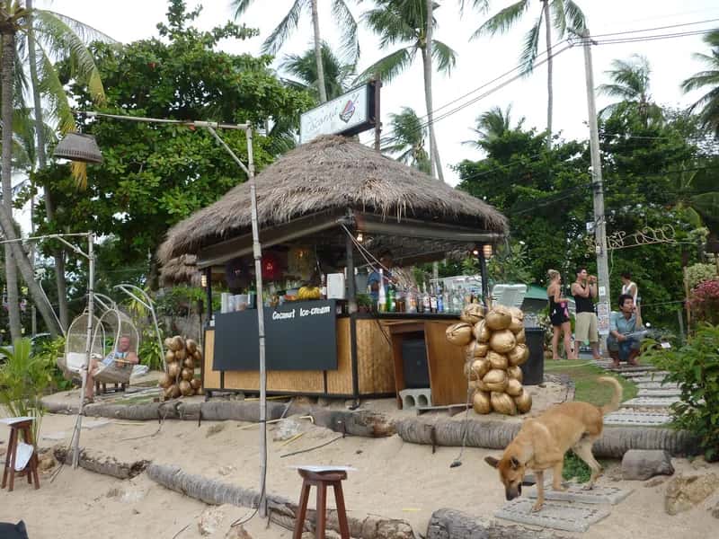 Motorradverleih in Bophut & Fisherman's Village, Koh Samui