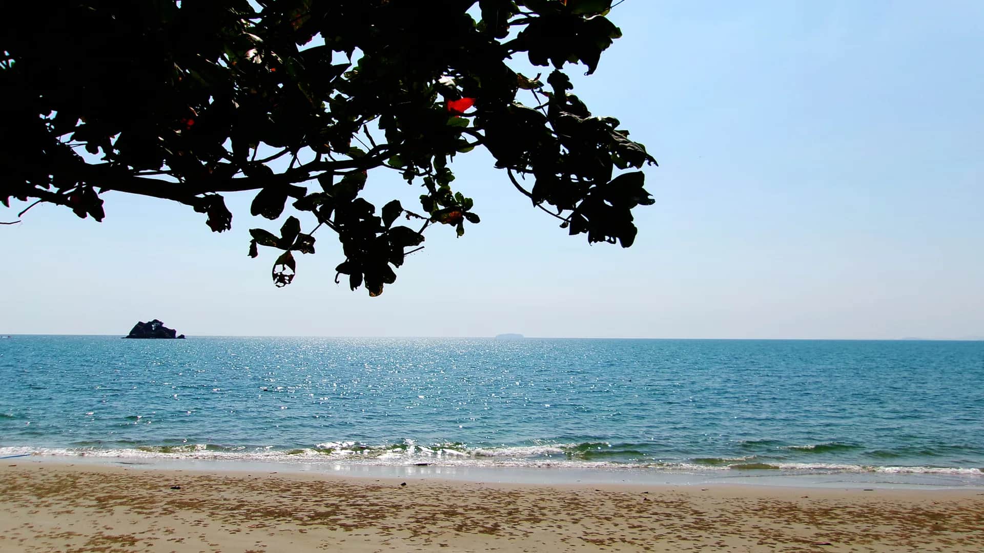 Laem Mae Phim Beach under casuarina-pine canopy in Rayong, Thailand