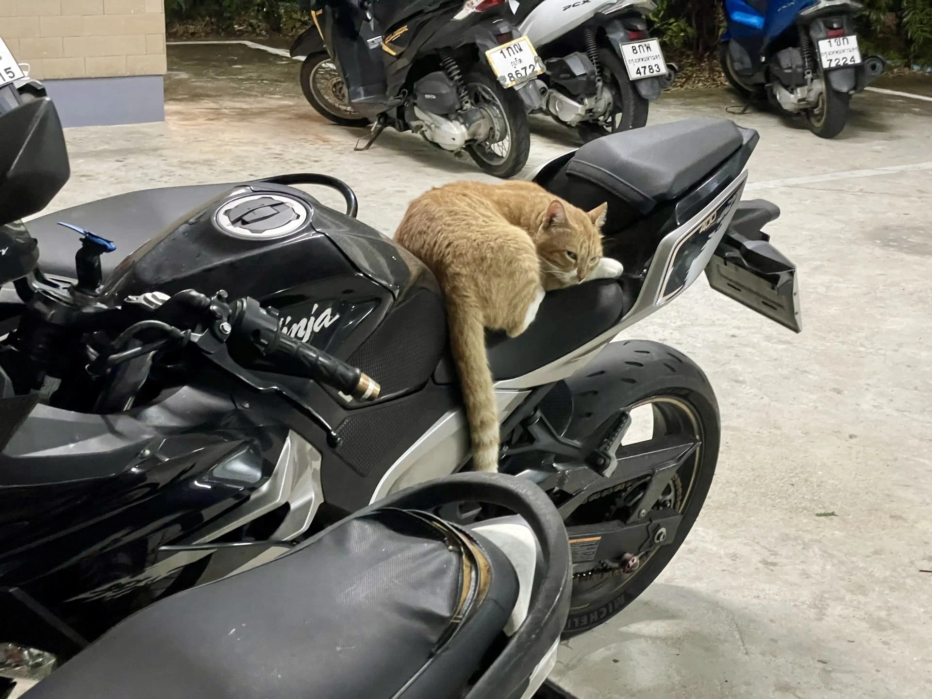 Наш момент озарения